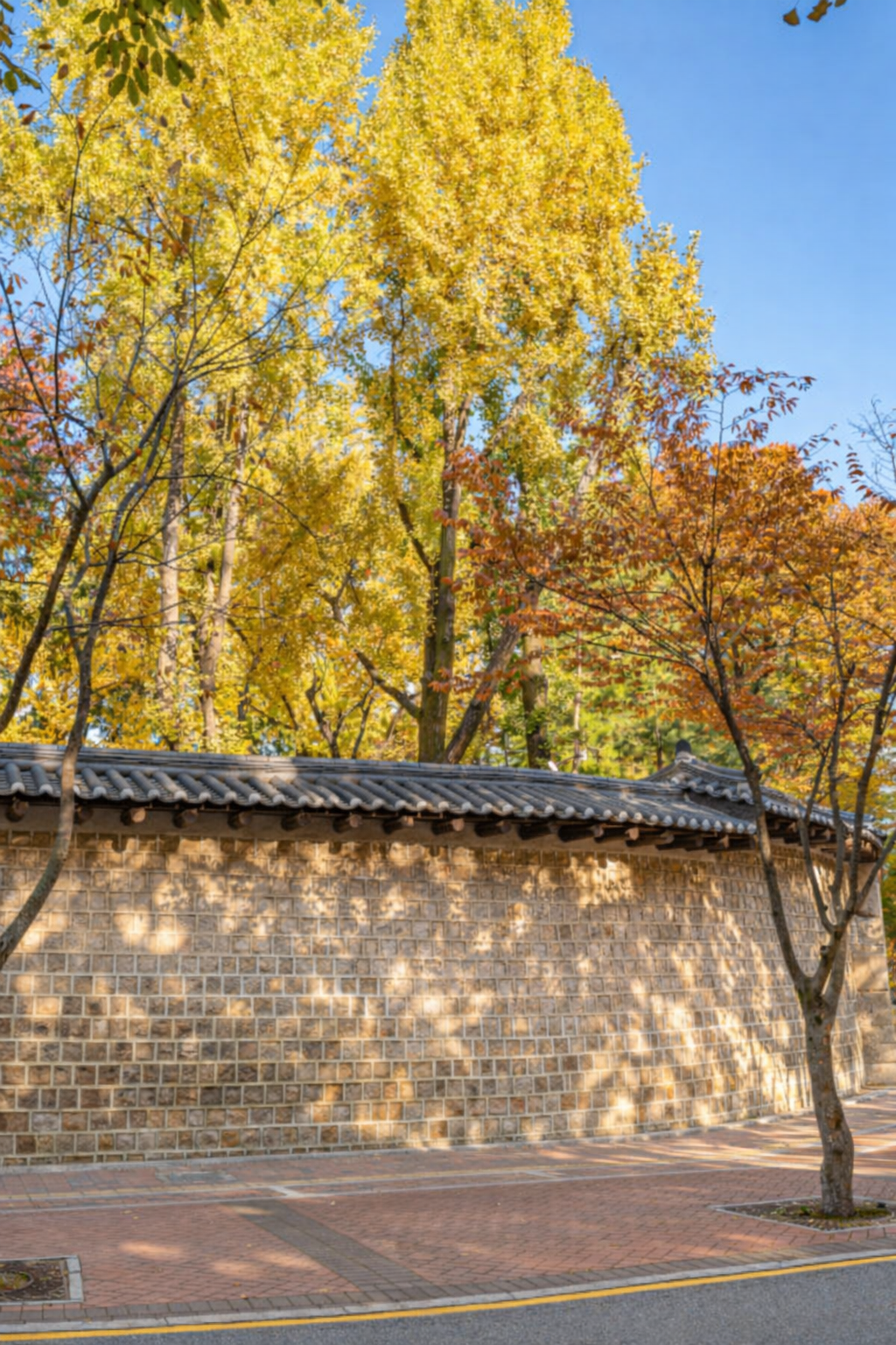 Deoksugung Stone Wall Road